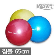 베스타)짐볼